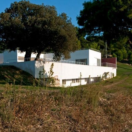 Villa Zagare Mattinata Exteriör bild